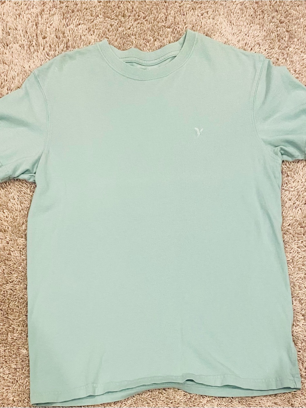 American Eagle Standard Fit Men's Light Aqua Crewneck T-Shirt Sz. Small (0021)